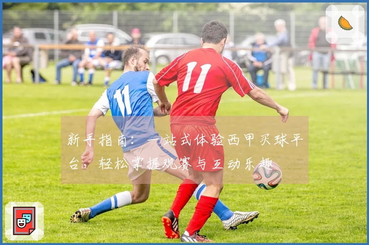 新手指南：一站式体验西甲买球平台，轻松掌握观赛与互动乐趣