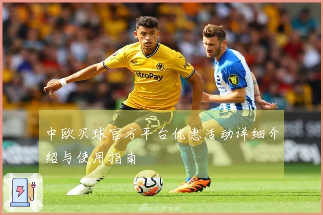 中欧买球官方平台优惠活动详细介绍与使用指南