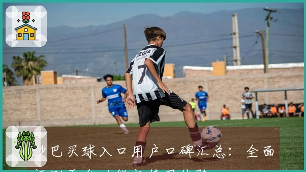 沙巴买球入口用户口碑汇总：全面评测平台功能与使用体验